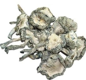 Albino A+ Magic Mushrooms