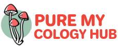 Pure My Cology Hub